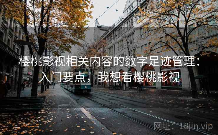 樱桃影视相关内容的数字足迹管理：入门要点，我想看樱桃影视