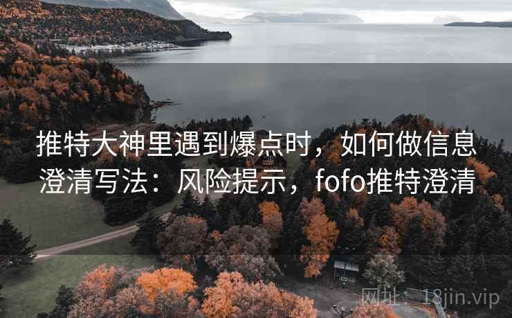 推特大神里遇到爆点时，如何做信息澄清写法：风险提示，fofo推特澄清