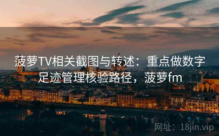 菠萝TV相关截图与转述：重点做数字足迹管理核验路径，菠萝fm