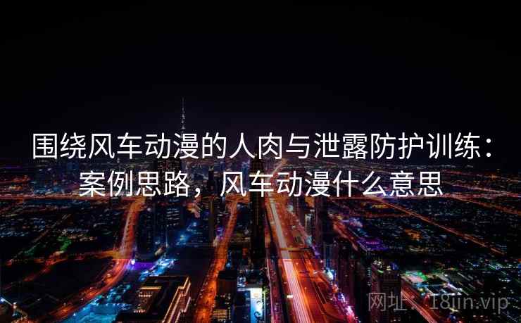 围绕风车动漫的人肉与泄露防护训练：案例思路，风车动漫什么意思