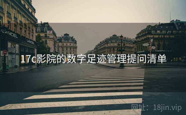 17c影院的数字足迹管理提问清单 17c影院的数字足迹管理提问清单