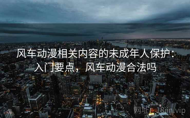 风车动漫相关内容的未成年人保护：入门要点，风车动漫合法吗